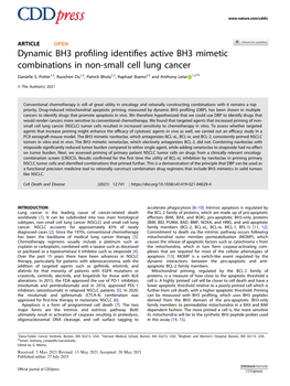 Dynamic BH3 Profiling Identifies Active BH3 Mimetic Combinations in Non-Small Cell Lung Cancer