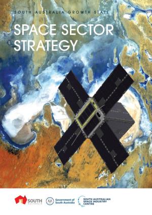 Space Sector Strategy Contents