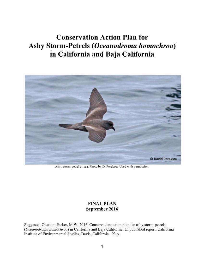Conservation Action Plan for Ashy Storm-Petrels (Oceanodroma Homochroa) in California and Baja California