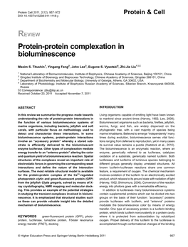 Protein-Protein Complexation in Bioluminescence