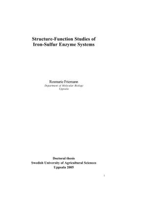 Structure-Function Studies of Iron-Sulfur Enzyme Systems