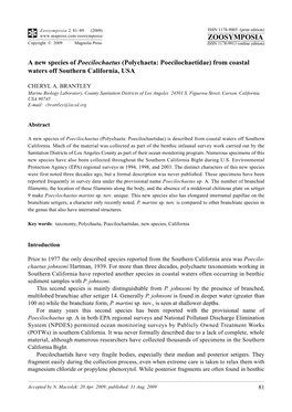 Zoosymposia 2: a New Species of Poecilochaetus (Polychaeta: Poecilochaetidae)