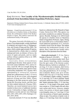 Kenji Suetsugu: New Locality of the Mycoheterotrophic Orchid Gastrodia Fontinalis from Kuroshima Island, Kagoshima Prefecture, Japan