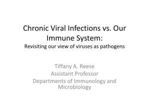 Chronic Viral Infections Vs. Our Immune System: Revisiting Our View of Viruses As Pathogens