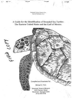 A Guide for the Identification of Stranded Sea Turtles: the Eastern United States and the Guif of Mexico