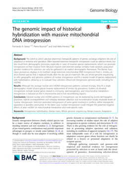 The Genomic Impact of Historical Hybridization with Massive Mitochondrial DNA Introgression Fernando A