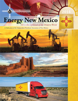 Energy New Mexico