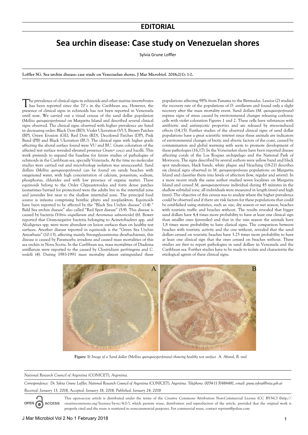 Sea Urchin Disease: Case Study on Venezuelan Shores Sylvia Grune Loffler