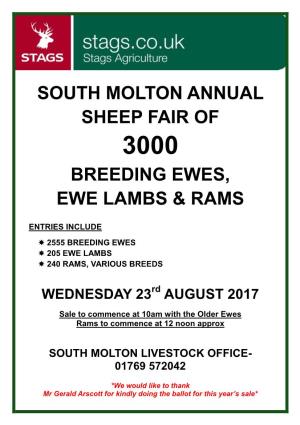 South Molton Annual Sheep Fair of Breeding Ewes, Ewe Lambs & Rams