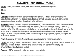 Fabaceae – Pea Or Bean Family