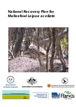 National Recovery Plan for Malleefowl (Leipoa Ocellata