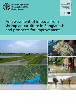An Assessment of Impacts from Shrimp Aquaculture in Bangladesh and Prospects for Improvement Shrimp Aquaculture in Bangladesh and Prospects for Improvement