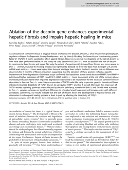 Ablation of the Decorin Gene Enhances Experimental Hepatic