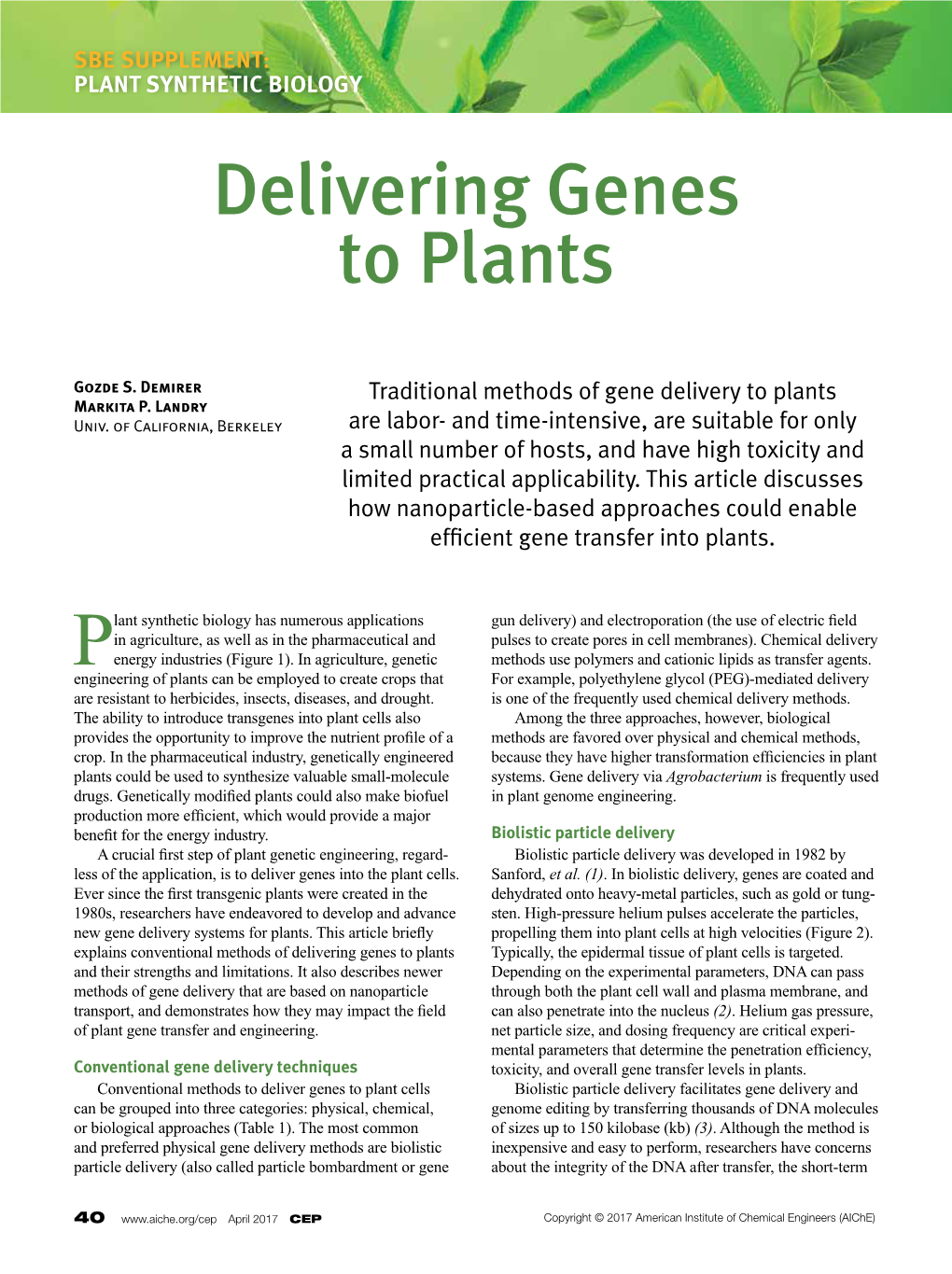 Delivering Genes to Plants