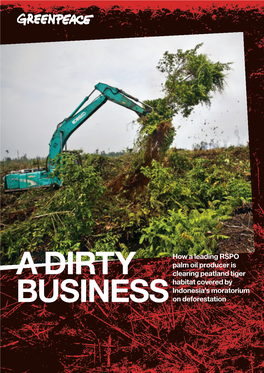 How a Leading RSPO Palm Oil Producer Is Clearing Peatland Tiger