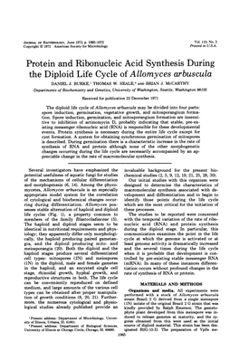 The Diploid Life Cycle of Allomyces Arbuscula DANIEL J
