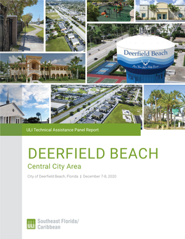 ULI Deerfield Beach TAP Report