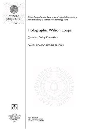 Holographic Wilson Loops