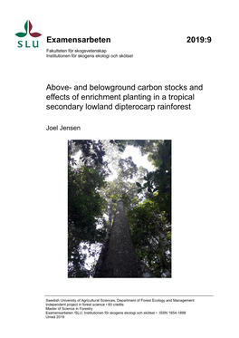 And Belowground Carbon Stocks and Effects of Enrichment Planting in a Tropical Secondary Lowland Dipterocarp Rainforest