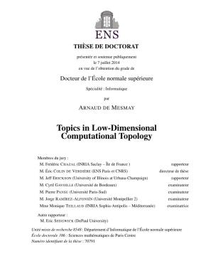 Topics in Low Dimensional Computational Topology