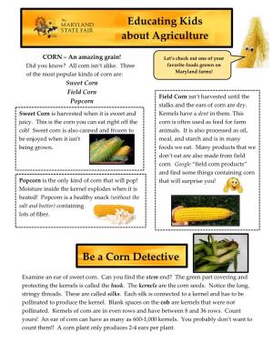 Educating Kids About Agriculture Be a Corn Detective