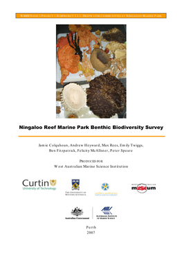 Ningaloo Biodiversity Deepwater Survey Report 1 Updated
