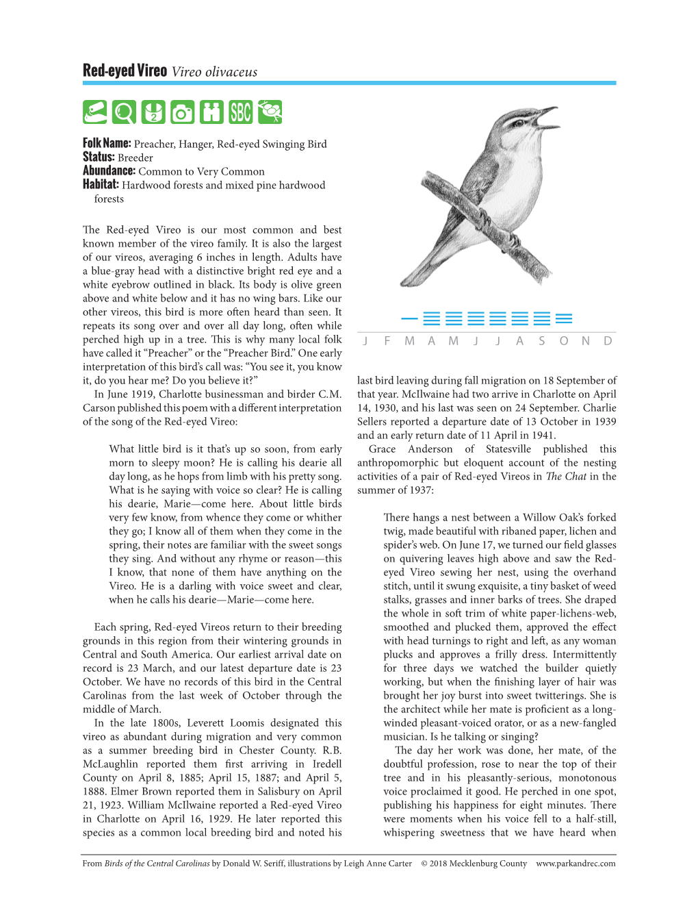 Red-Eyed Vireo Vireo Olivaceus