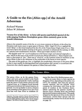 A Guide to the Firs (Abies Spp.) of the Arnold Arboretum
