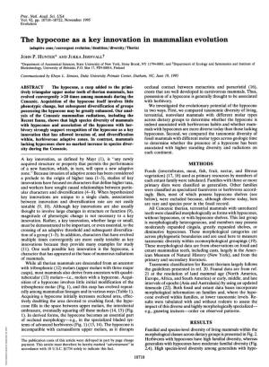 The Hypocone As a Key Innovation in Mammalian Evolution (Adaptive Zone/Convergent Evolution/Dentition/Diversity/Theria) JOHN P