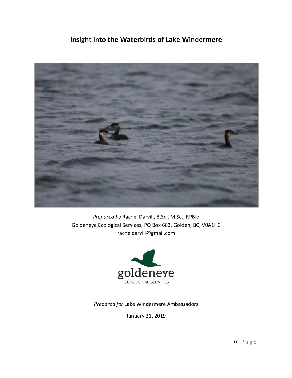 Lake Windermere Bird Report
