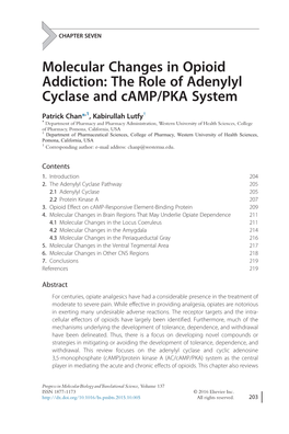 Molecular Changes in Opioid Addiction: the Role of Adenylyl Cyclase and Camp/PKA System 205