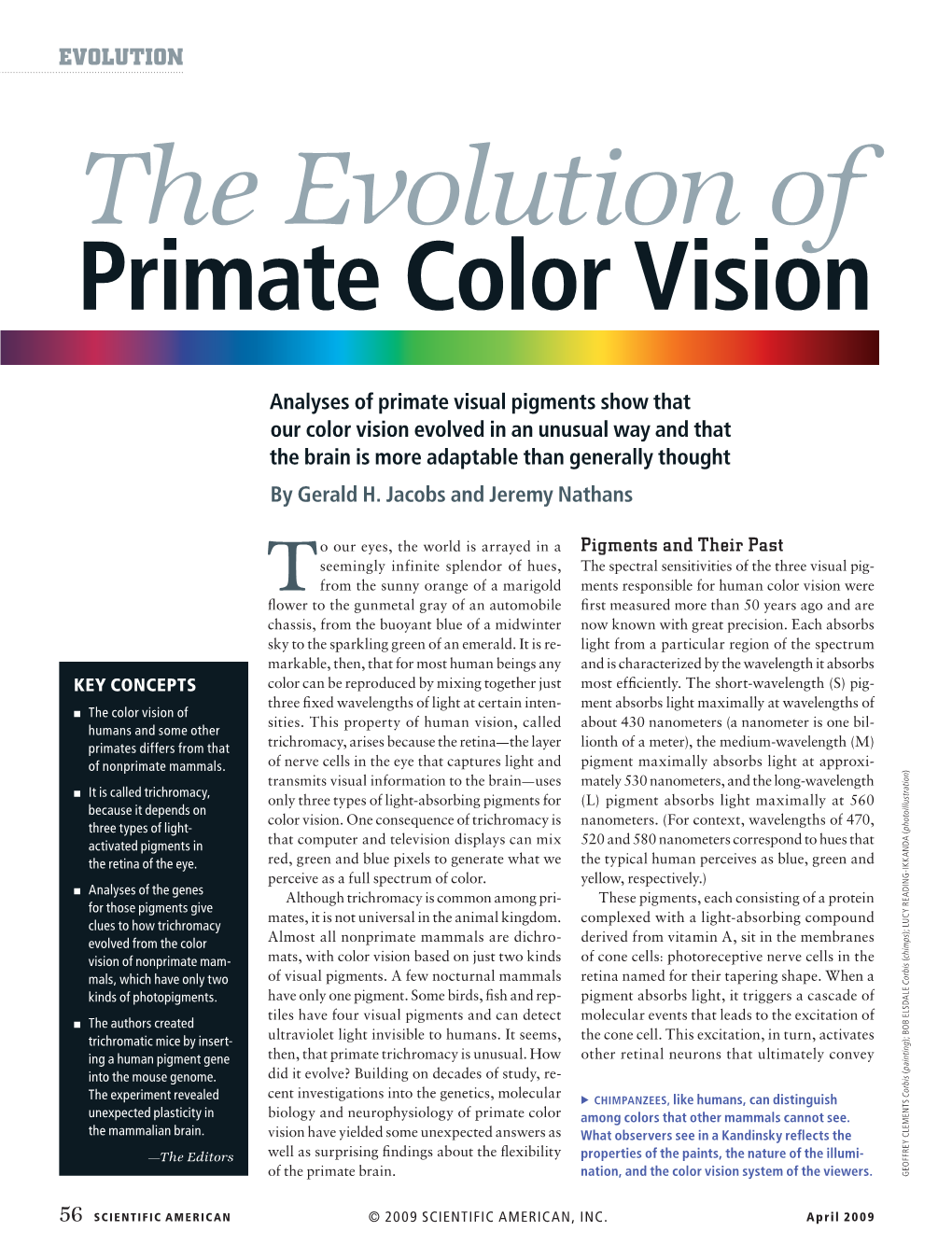 The Evolution of Primate Color Vision