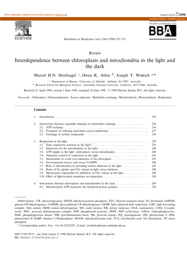 Interdependence Between Chloroplasts and Mitochondria in the Light and the Dark