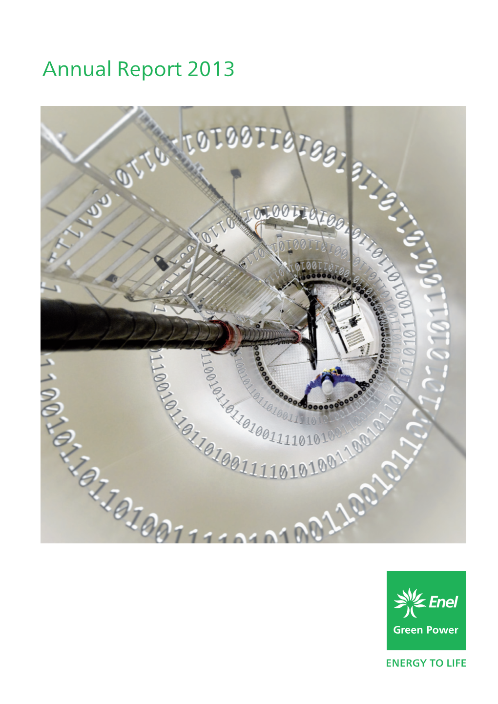 Financial Statement 2013 of Enel Green Power S.P.A