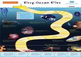 Deep Ocean Dive