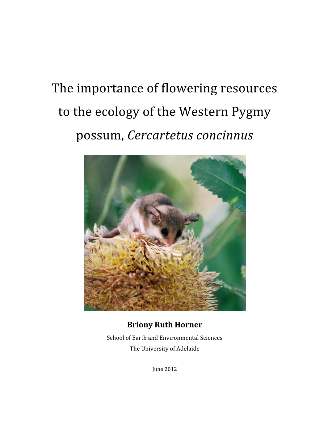 The Importance of Flowering Resources to the Ecology of the Western Pygmy Possum, Cercartetus Concinnus