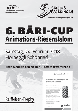6. BÄRI-CUP Animations-Riesenslalom