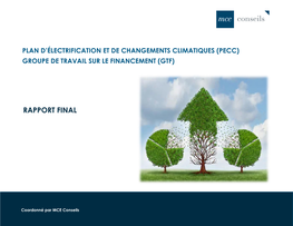 Rapport Final Plan D'électrification Et De