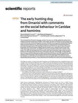 The Early Hunting Dog from Dmanisi with Comments on the Social