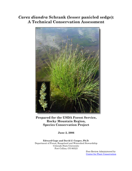 Carex Diandra Schrank (Lesser Panicled Sedge): a Technical Conservation Assessment