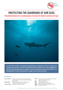 PROTECTING the GUARDIANS of OUR SEAS Recommendations for a National Plan of Action for Liberia’S Sharks and Rays