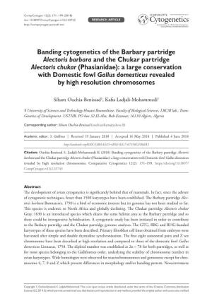 Banding Cytogenetics of the Barbary Partridge Alectoris Barbara and the Chukar Partridge Alectoris Chukar (Phasianidae): a Large
