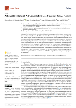 Artificial Feeding of All Consecutive Life Stages of Ixodes Ricinus