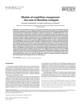 Models of Amphibian Myogenesis - the Case of Bombina Variegata LEOKADIA KIEŁBÓWNA and MARTA MIGOCKA-PATRZAŁEK*