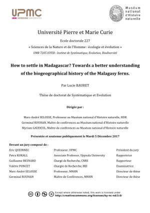 How to Settle in Madagascar? Towards a Better Understanding of the Biogeographical History of the Malagasy Ferns