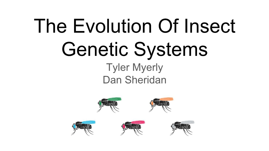 The Evolution of Insect Genetic Systems Tyler Myerly Dan Sheridan