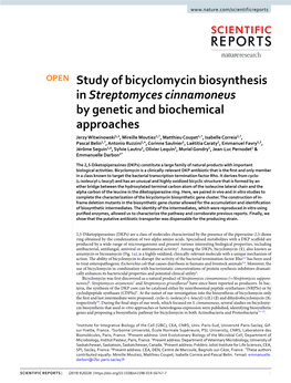 Study of Bicyclomycin Biosynthesis in Streptomyces Cinnamoneus By