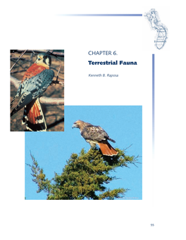 CHAPTER 6. Terrestrial Fauna of the NBNERR
