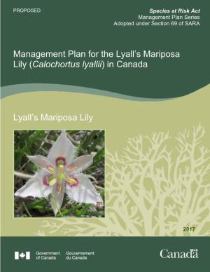 Lyall's Mariposa Lily (Calochortus Lyallii)