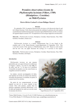 Première Observation Récente De Phyllomorpha Laciniata (Villers, 1789) (Hémiptères ; Coreidae) En Midi-Pyrénées